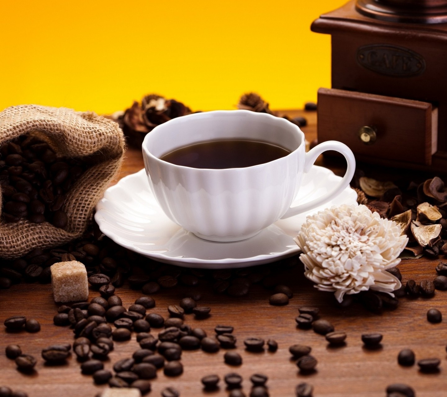 首届文化艺术节