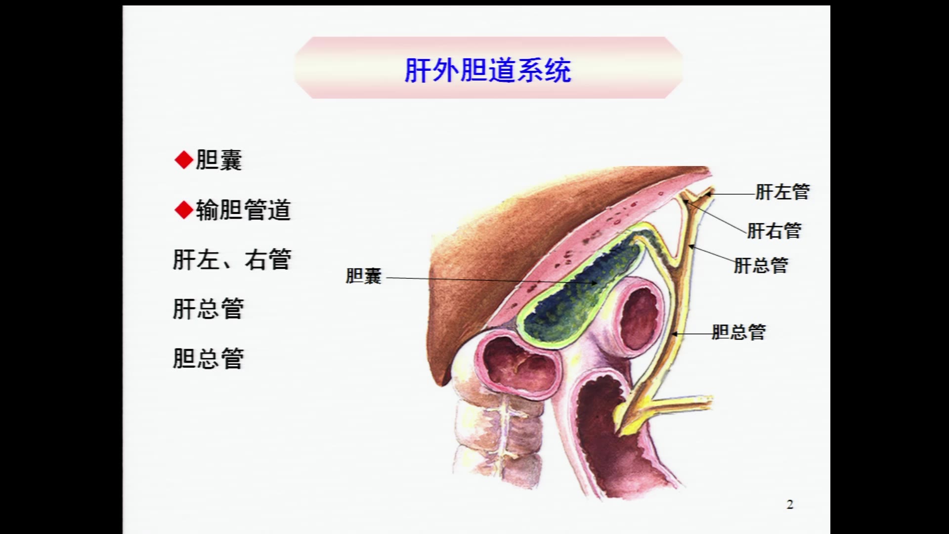 大学教育