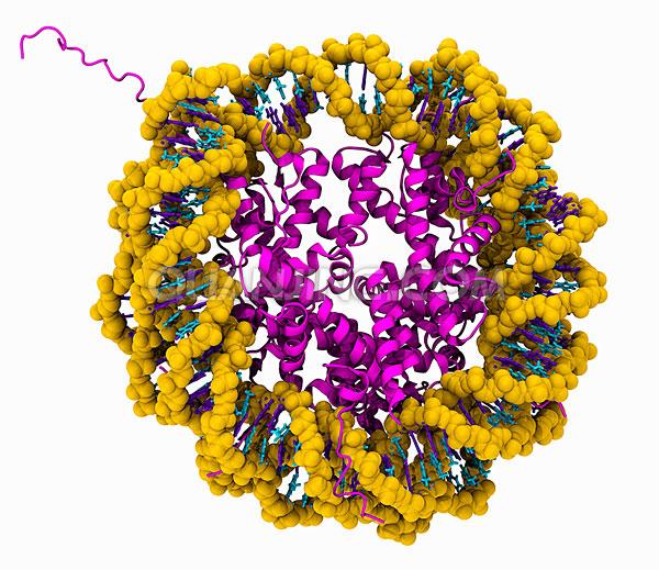 高分子化学章节测试课后答案2024秋