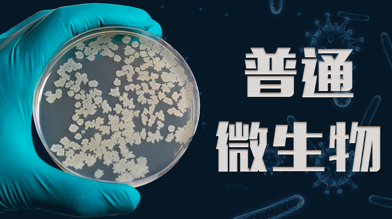 普通微生物学第十二章测试_智慧树知到答案2021年