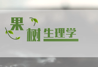 果树生理学章节测试课后答案2024秋