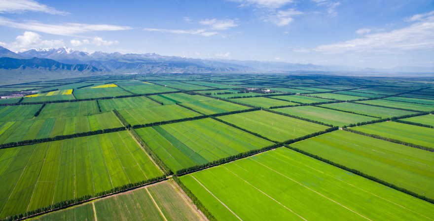 中国土地制度
第四章_智慧树知到答案2021年