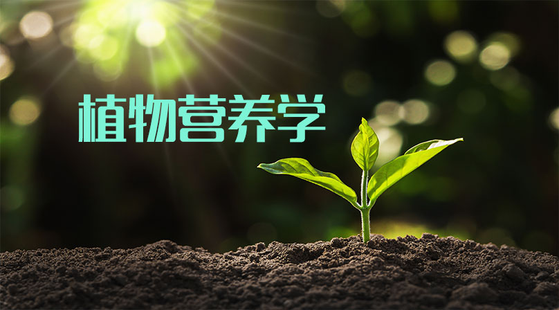 植物营养学
第八章_智慧树知到答案2021年