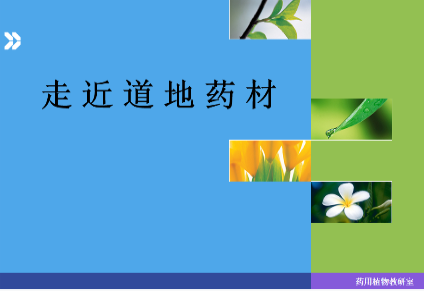 走近道地药材章节测试课后答案2024秋