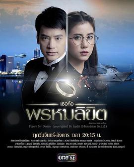 命中注定我爱你张娜拉版