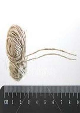 地平线系列：一根绳子有多长？