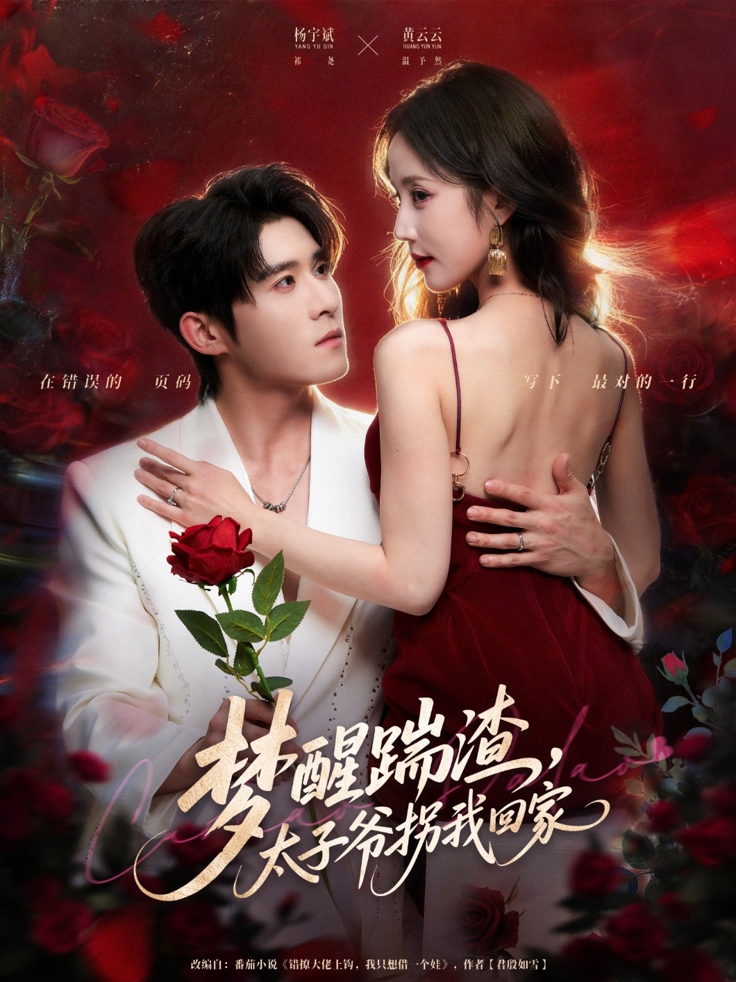 梦醒踹渣,太子爷拐我回家