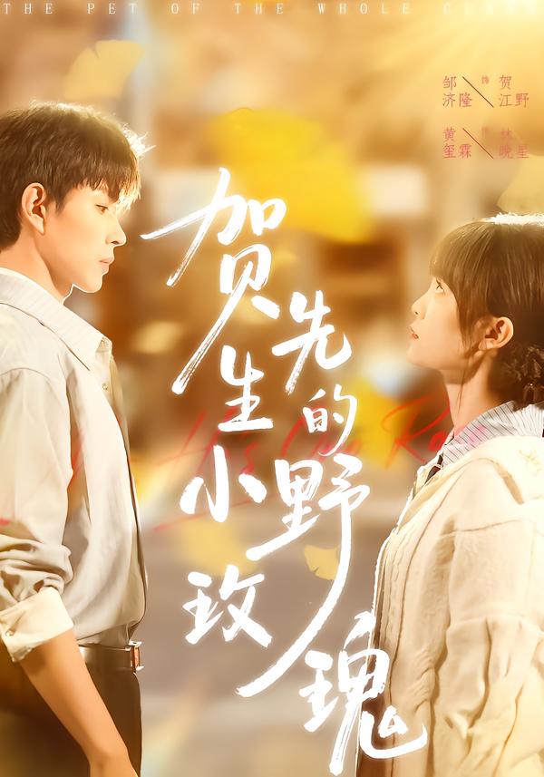 贺先生的小野玫瑰