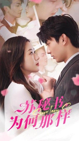 苏秘书为何那样