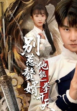 别惹赘婿,他能一拳开天