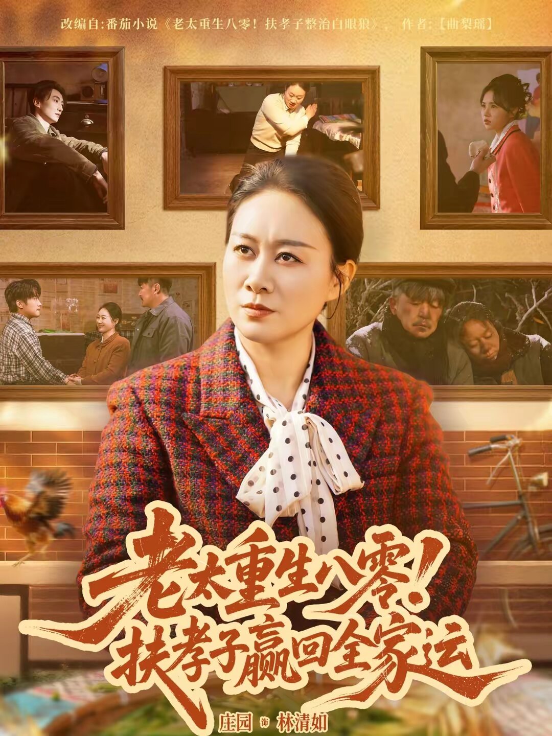 老太重生八零!扶孝子赢回全家运