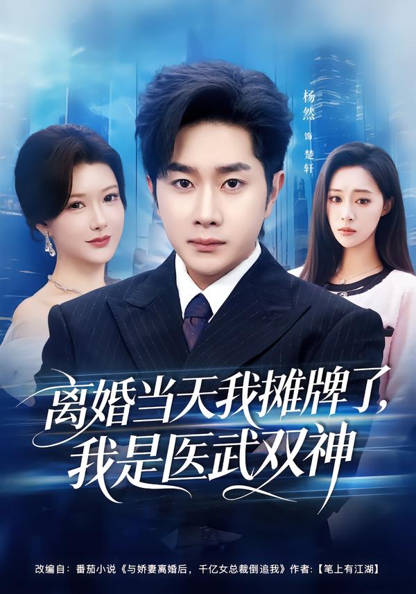 离婚当天我摊牌了,我是医武双神
