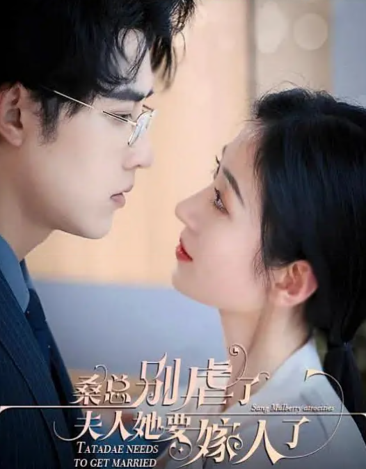 桑总别虐了,夫人她要嫁人了