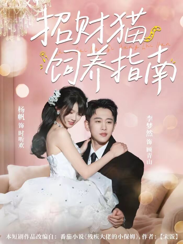 招财猫饲养指南