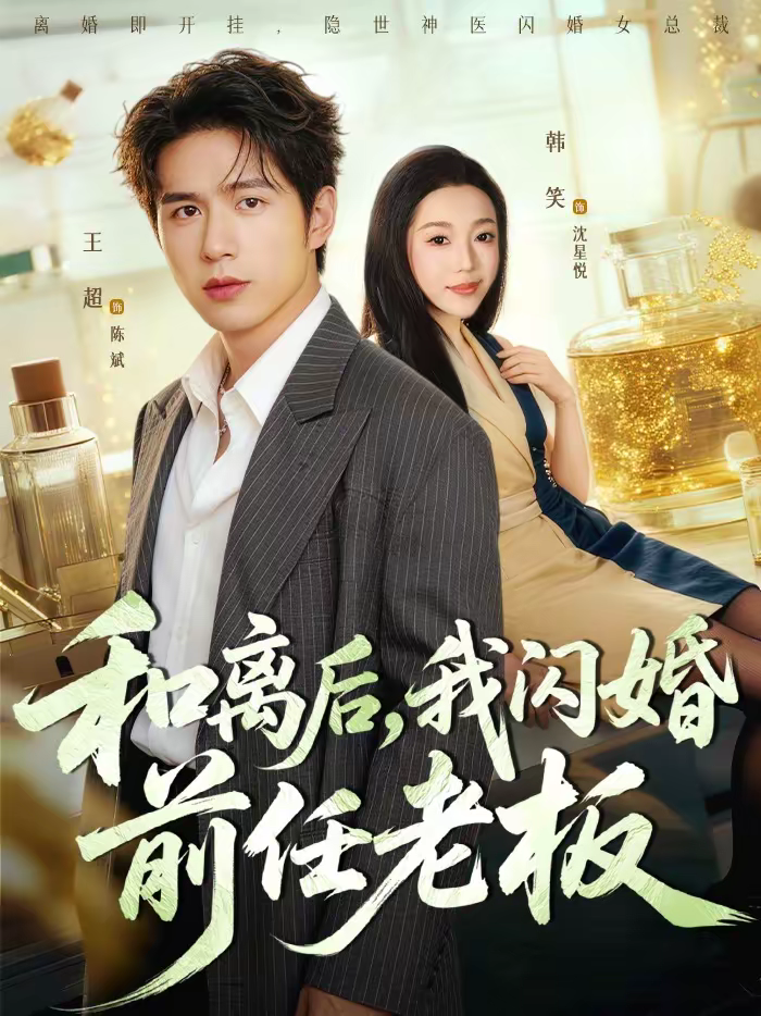 和离后,我闪婚前任老板