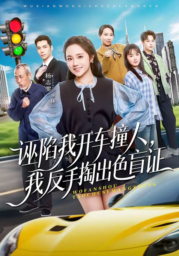 诬陷我开车撞人，我反手掏出色盲证