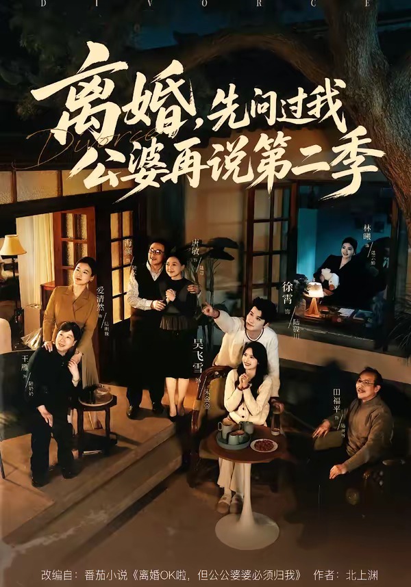 离婚,先问过我公婆再说第二季