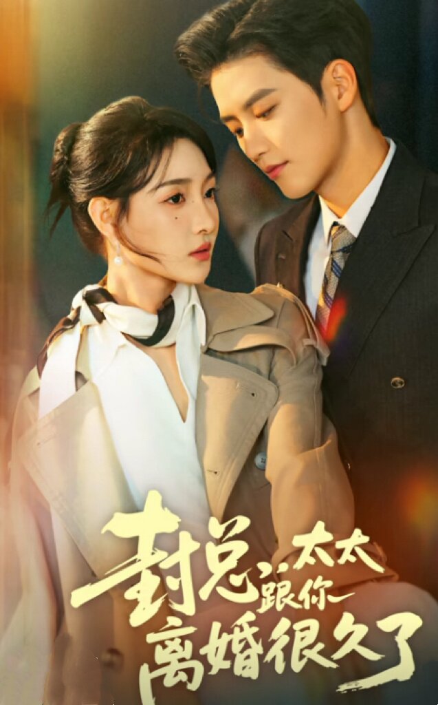 封总,太太跟你离婚很久了