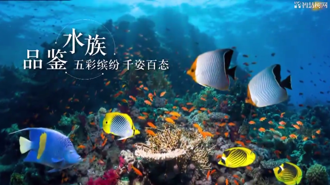 走近水族章节测试课后答案2024春