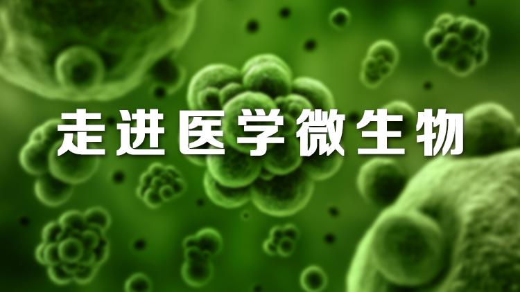 走进医学微生物章节测试课后答案2024春