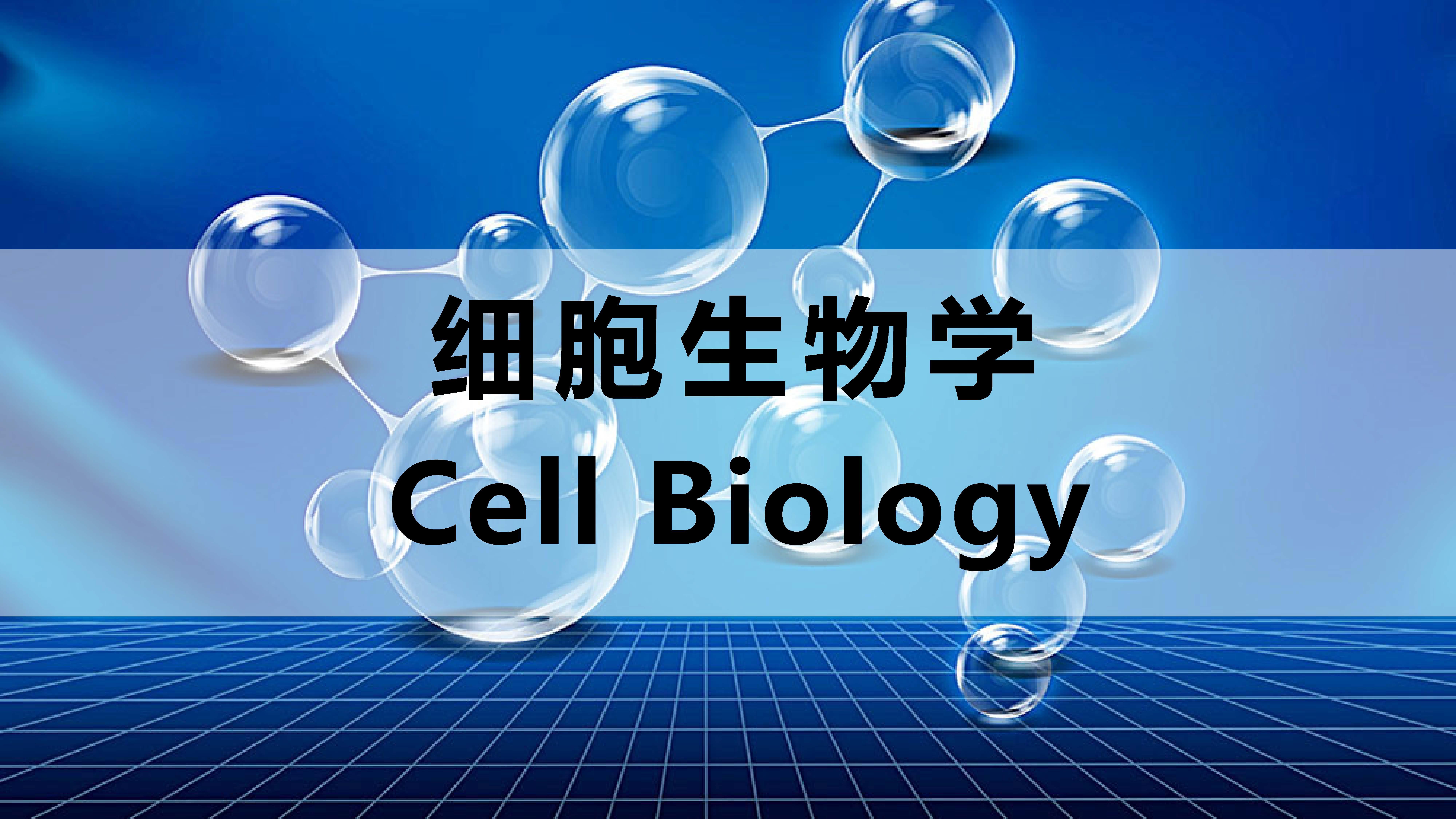 细胞生物学（山东联盟-潍坊医学院）答案2023