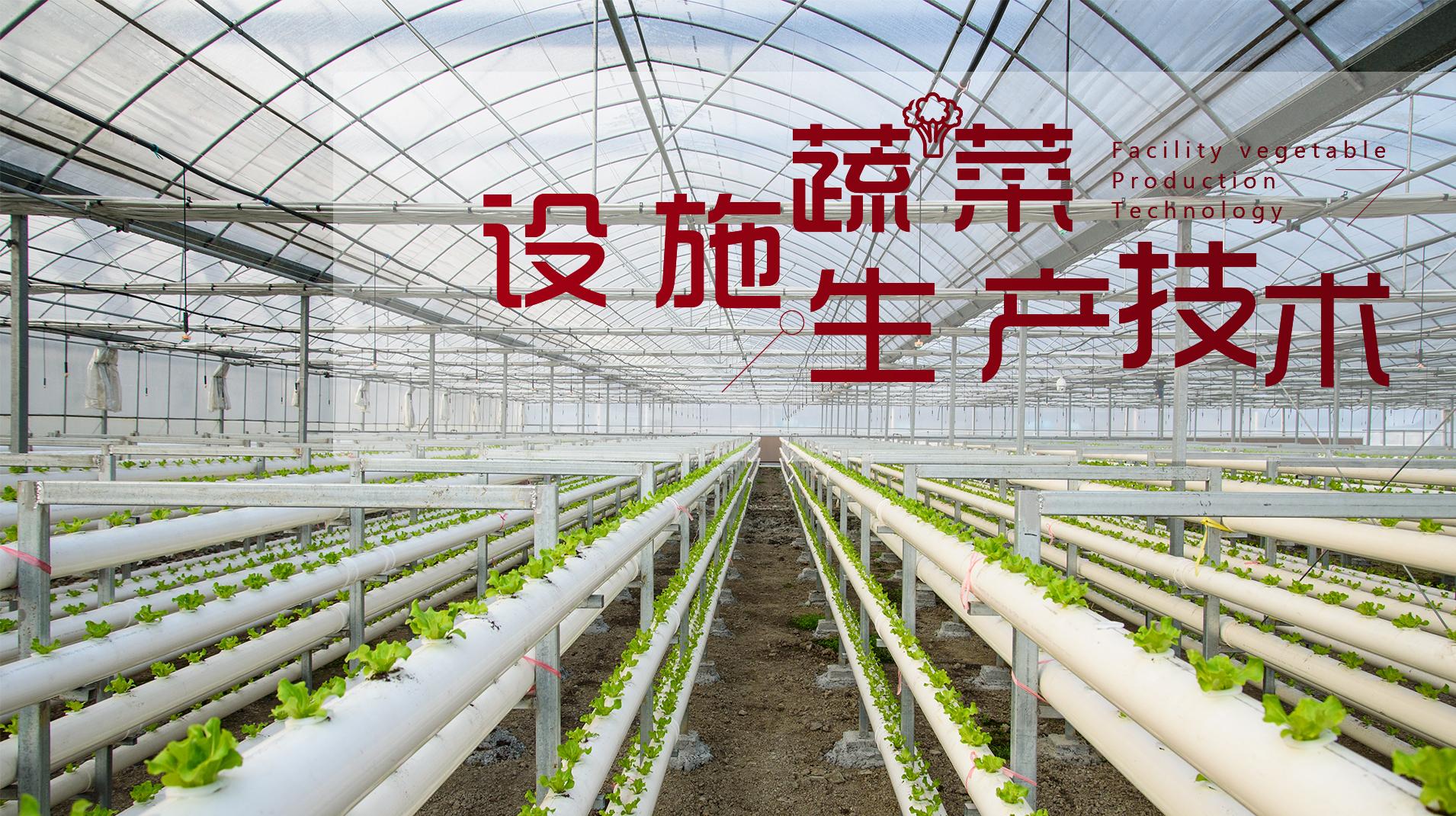 设施蔬菜生产技术答案2023