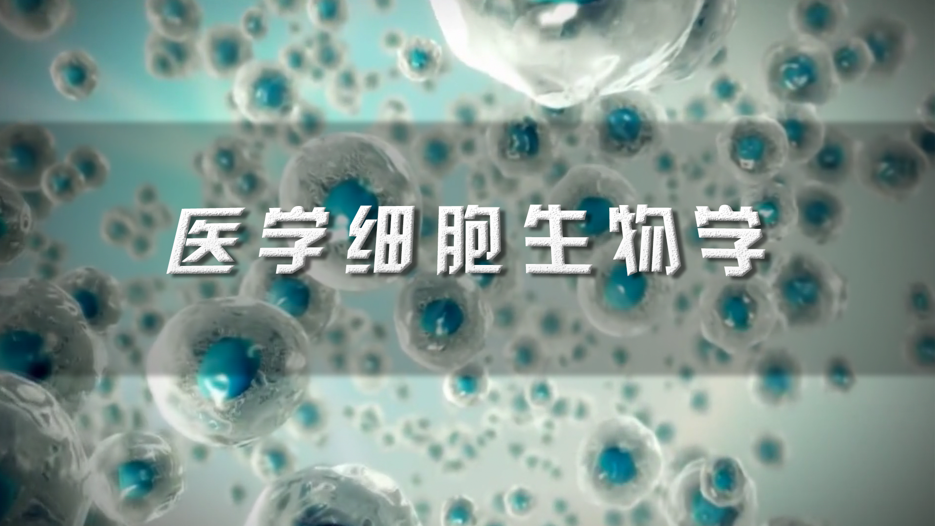 医学细胞生物学（西安医学院）第一章测试_智慧树知到答案2021年