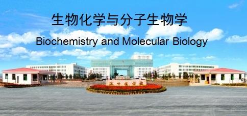 生物化学与分子生物学（山东联盟-济宁医学院）章节测试课后答案2024春