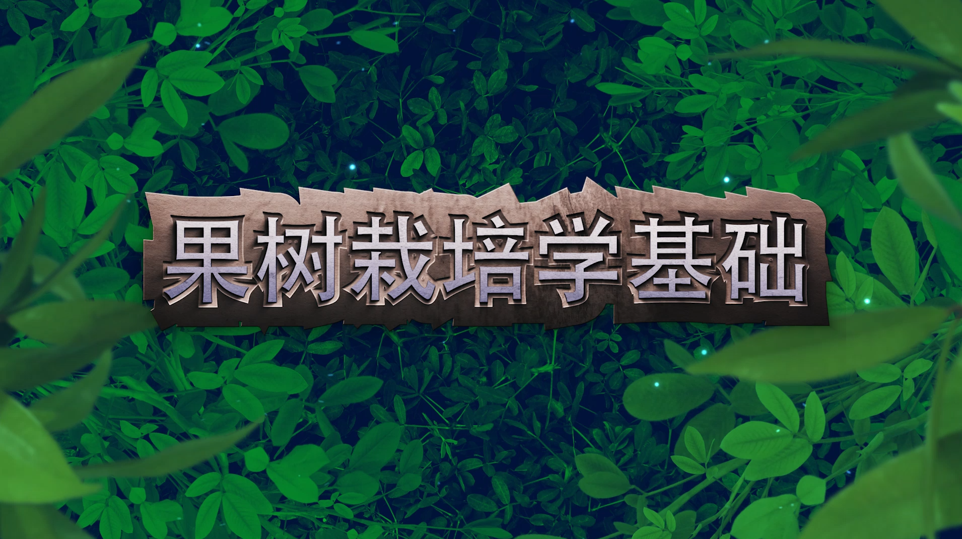 果树栽培学基础章节测试课后答案2024秋