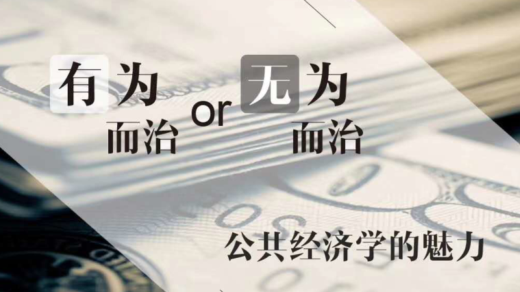 有为/无为——公共经济学的魅力期末考试答案题库2024秋