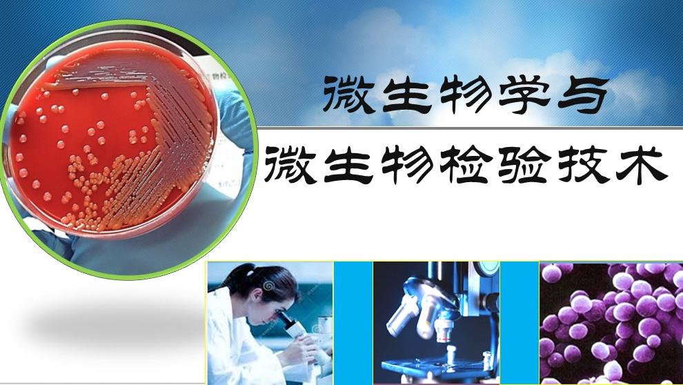 微生物学与微生物检验技术2019答案章节答案期末答案