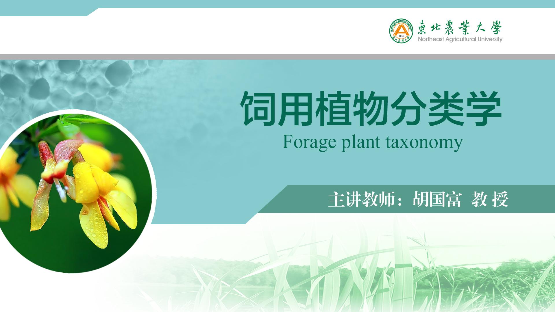 饲用植物分类学（黑龙江联盟）章节测试课后答案2024春