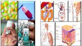 生物药剂学与药物动力学（山东联盟）期末考试答案题库2024秋