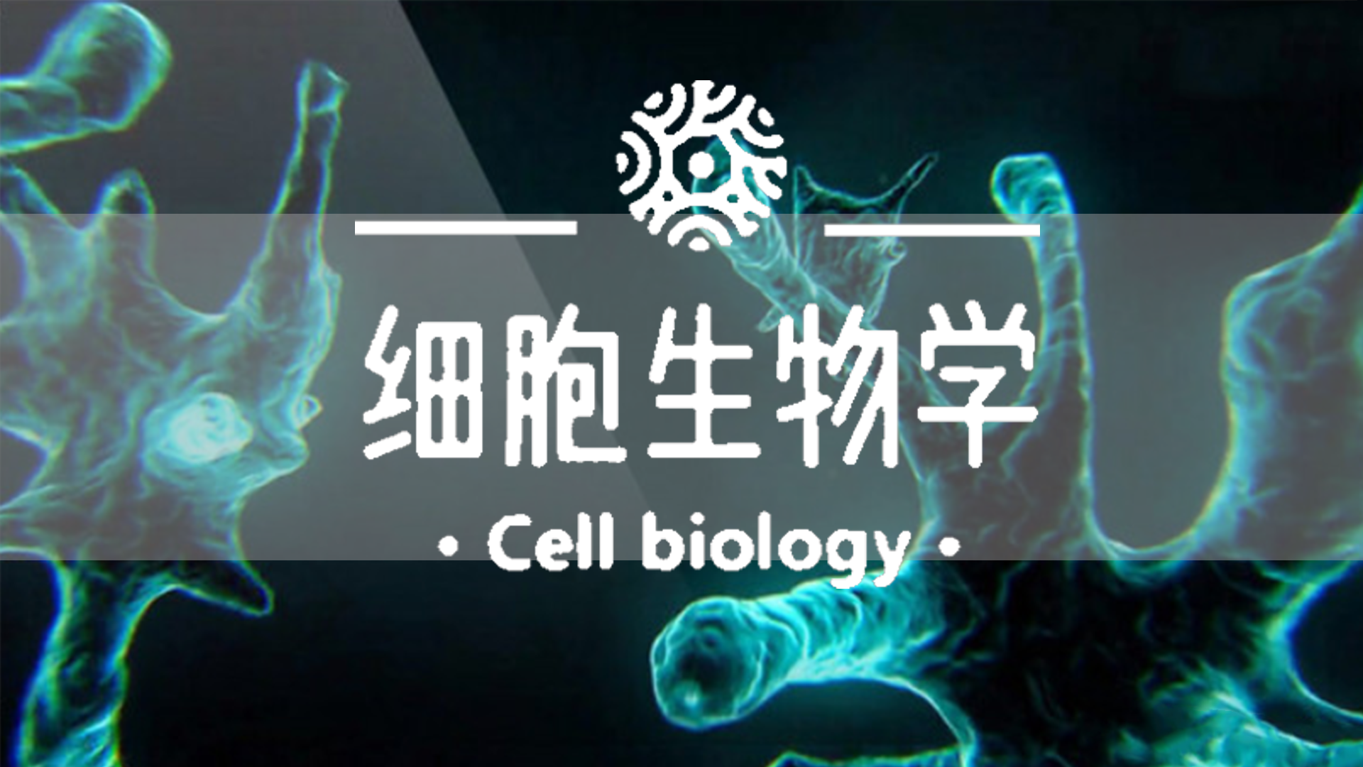 细胞生物学期末考试答案题库2024秋