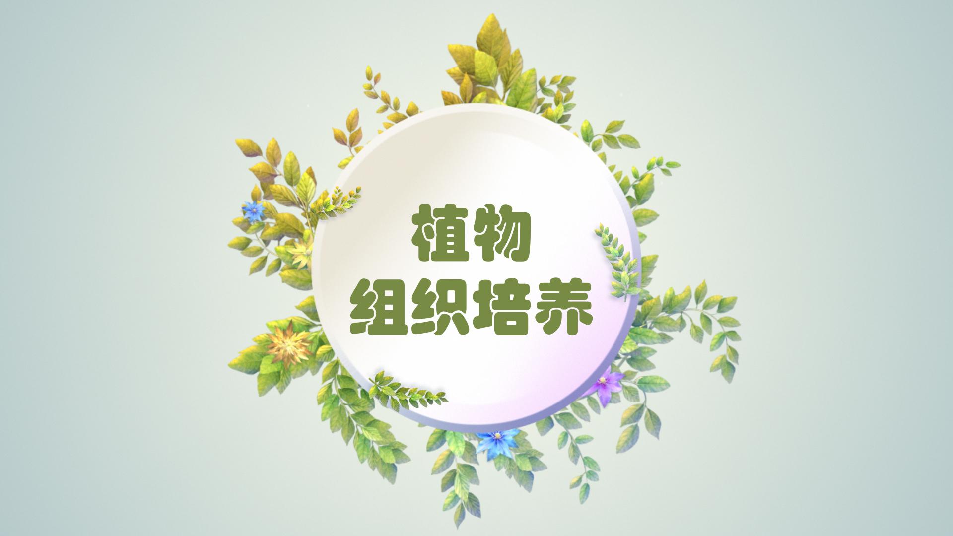 植物组织培养（黑龙江农业职业技术学院）绪章测试_智慧树知到答案2021年