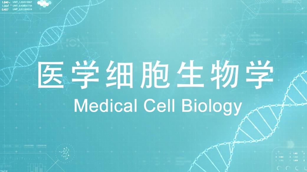 医学细胞生物学（山东联盟）答案2023