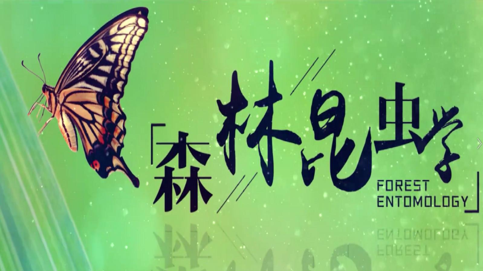 森林昆虫学章节测试课后答案2024春