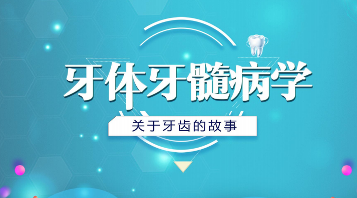 牙体牙髓病学-关于牙齿的故事第九章测试_智慧树知到答案2021年