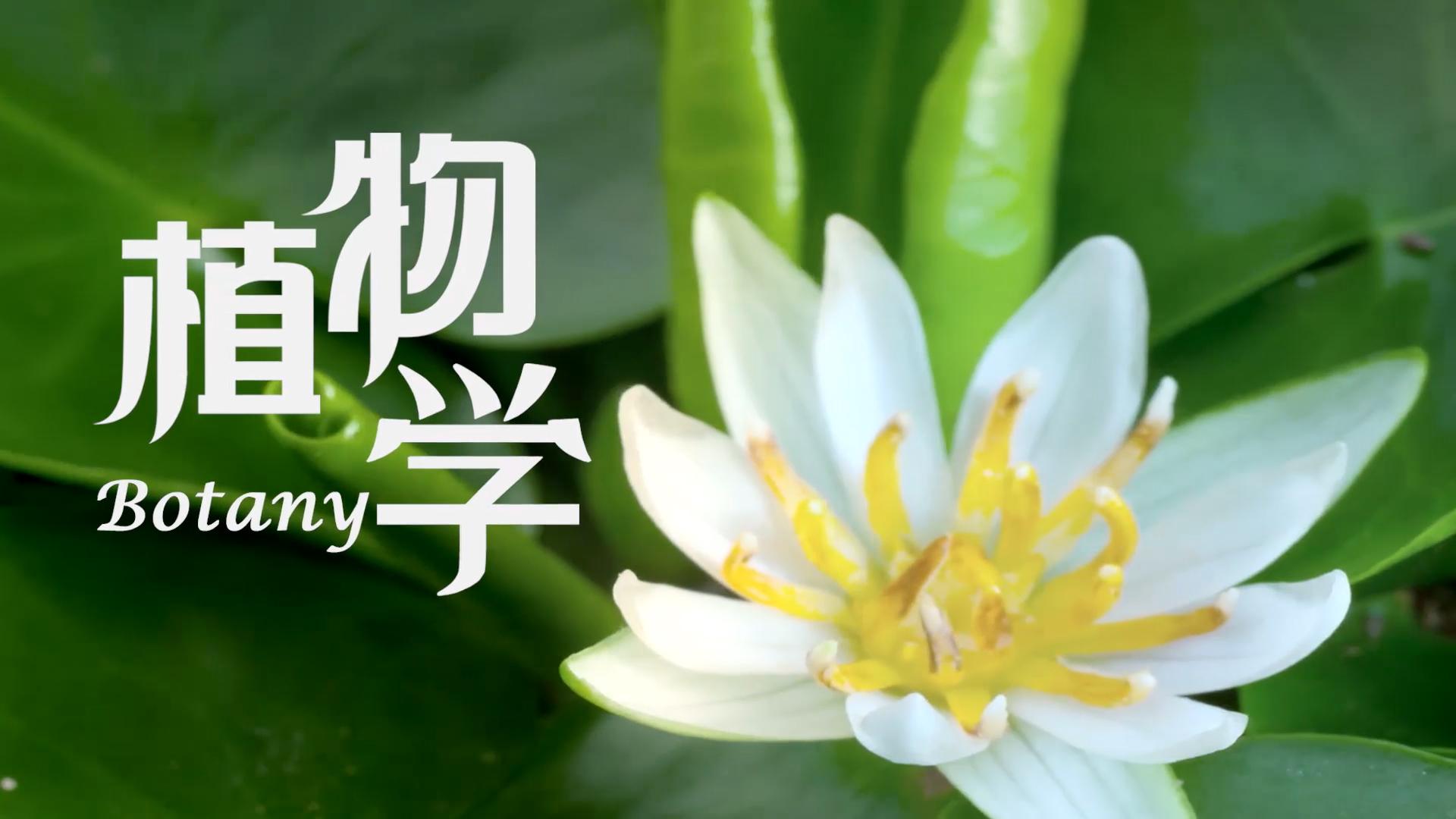 植物学（东北林业大学）答案2023