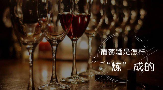 葡萄酒是怎样“炼”成的章节测试课后答案2024春