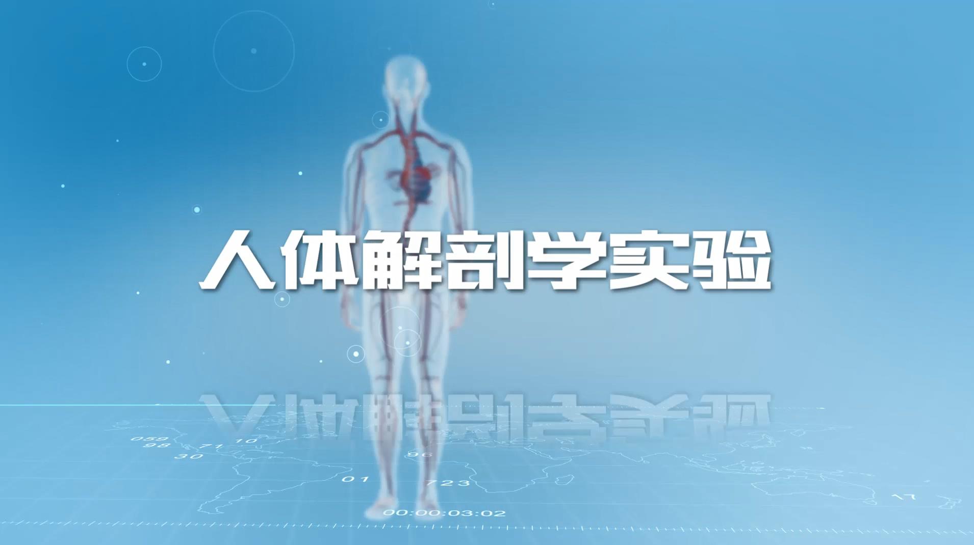 人体解剖学实验章节测试课后答案2024春