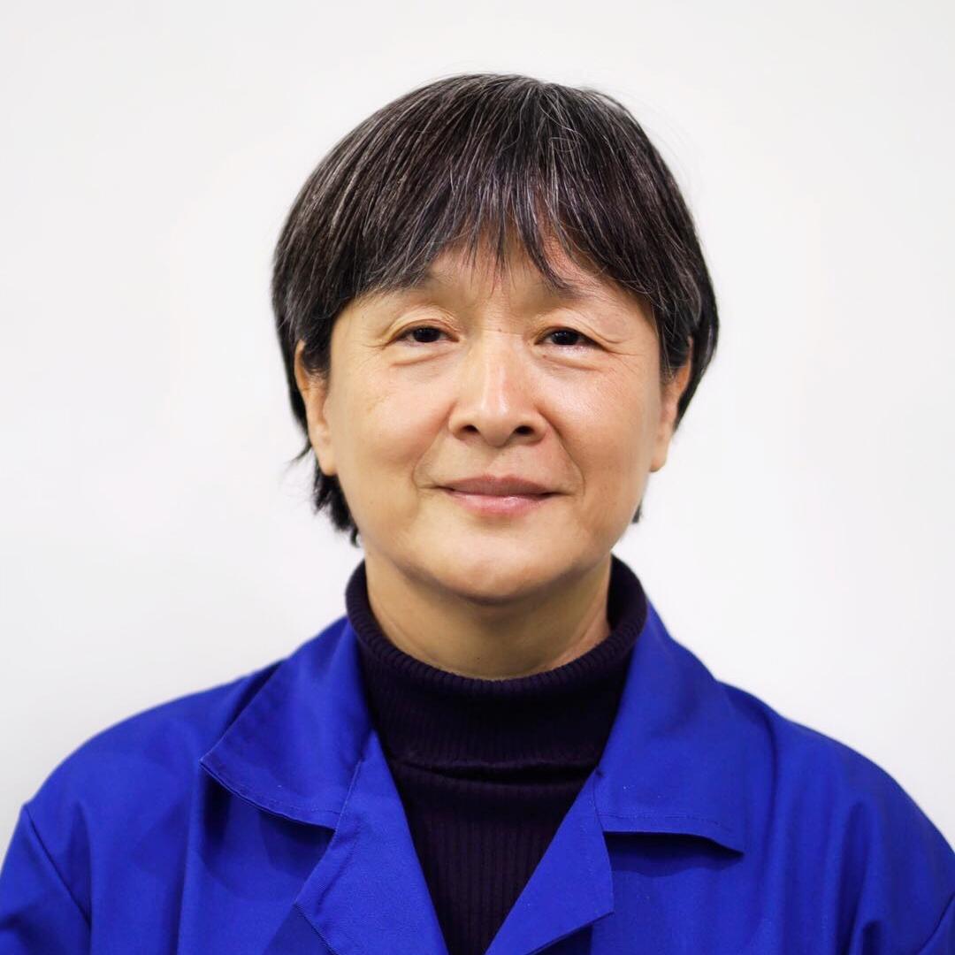 张虹·天津中德应用技术大学团队教师副教授现任天津中德应用技术大学