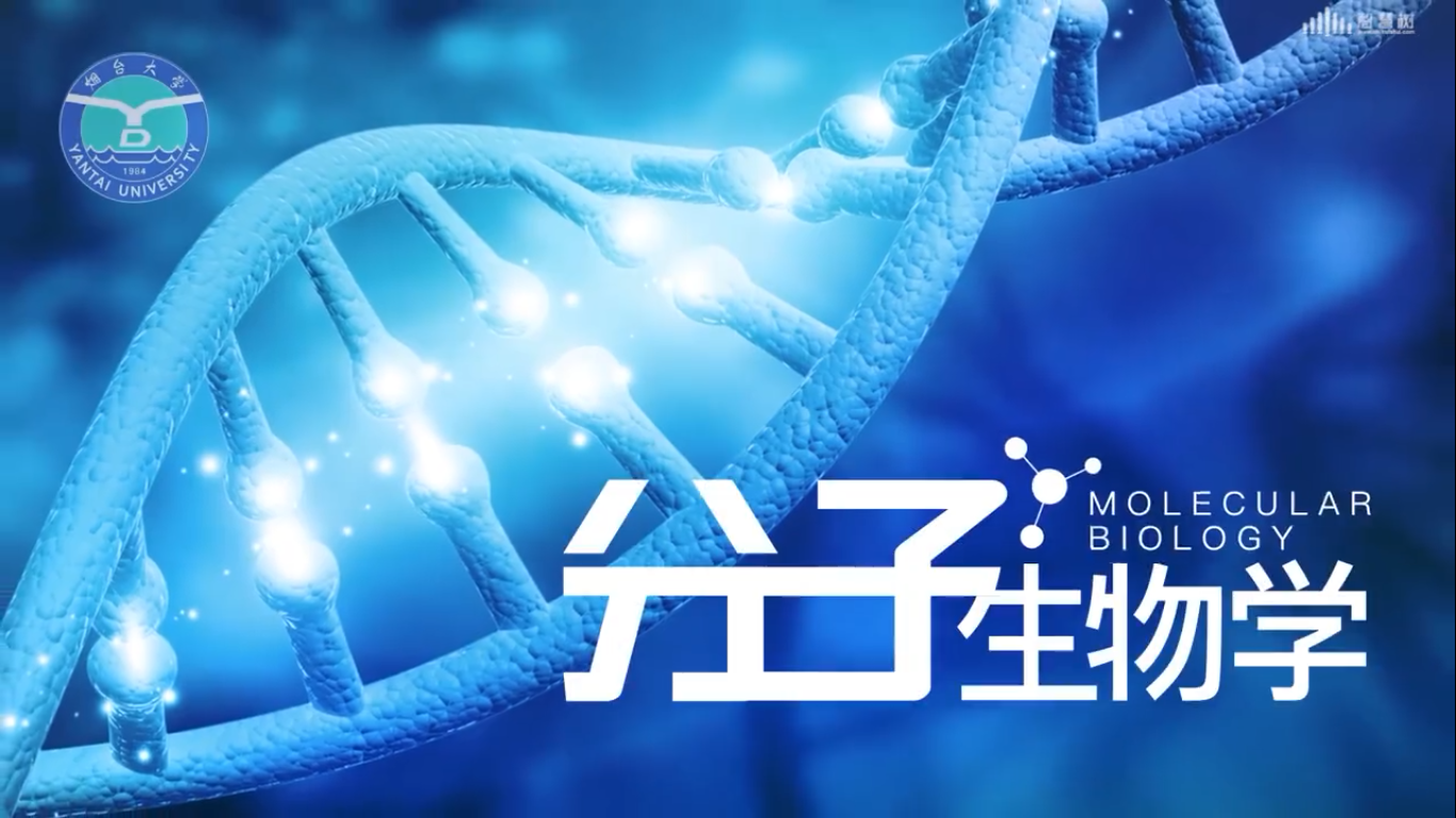 分子生物学（烟台大学）第五章测试_智慧树知到答案2021年