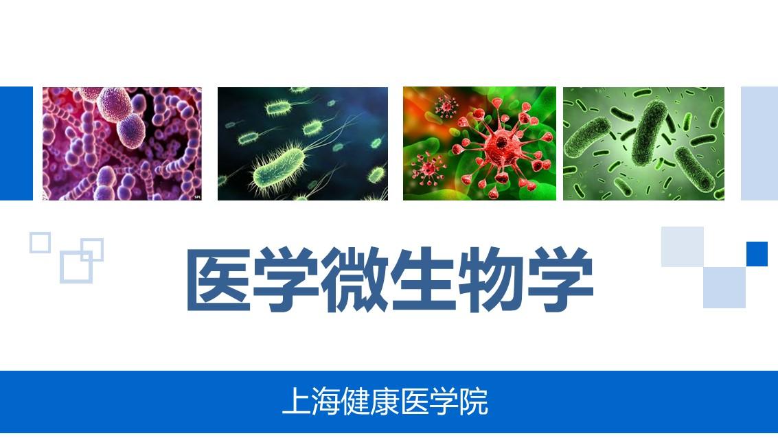 医学微生物学（上海健康医学院）章节测试课后答案2024秋