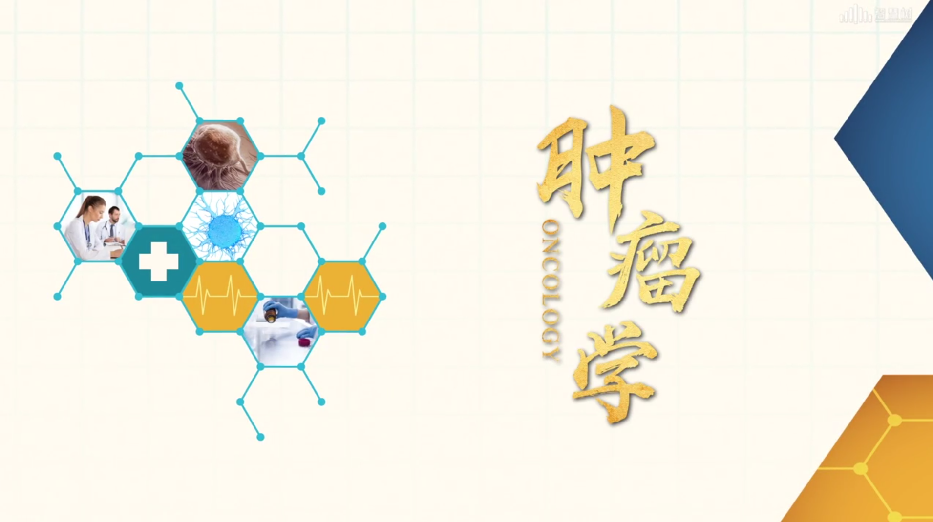 肿瘤学答案2023秋