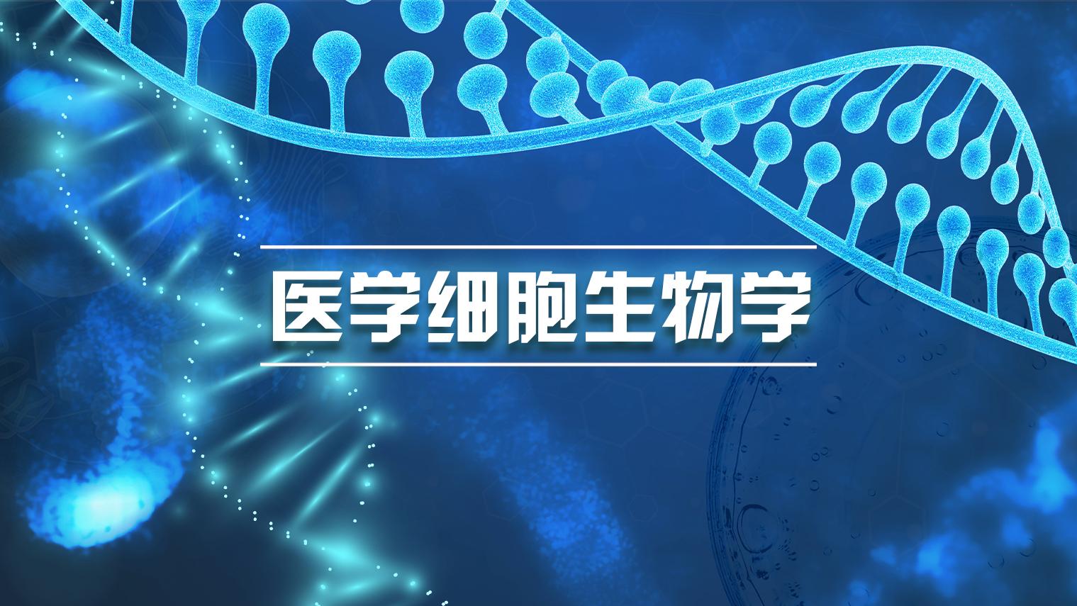 医学细胞生物学（宁夏医科大学）期末考试答案题库2024秋