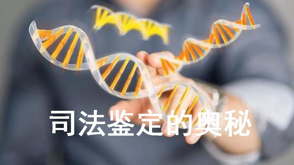 司法鉴定的奥秘期末考试答案题库2024秋