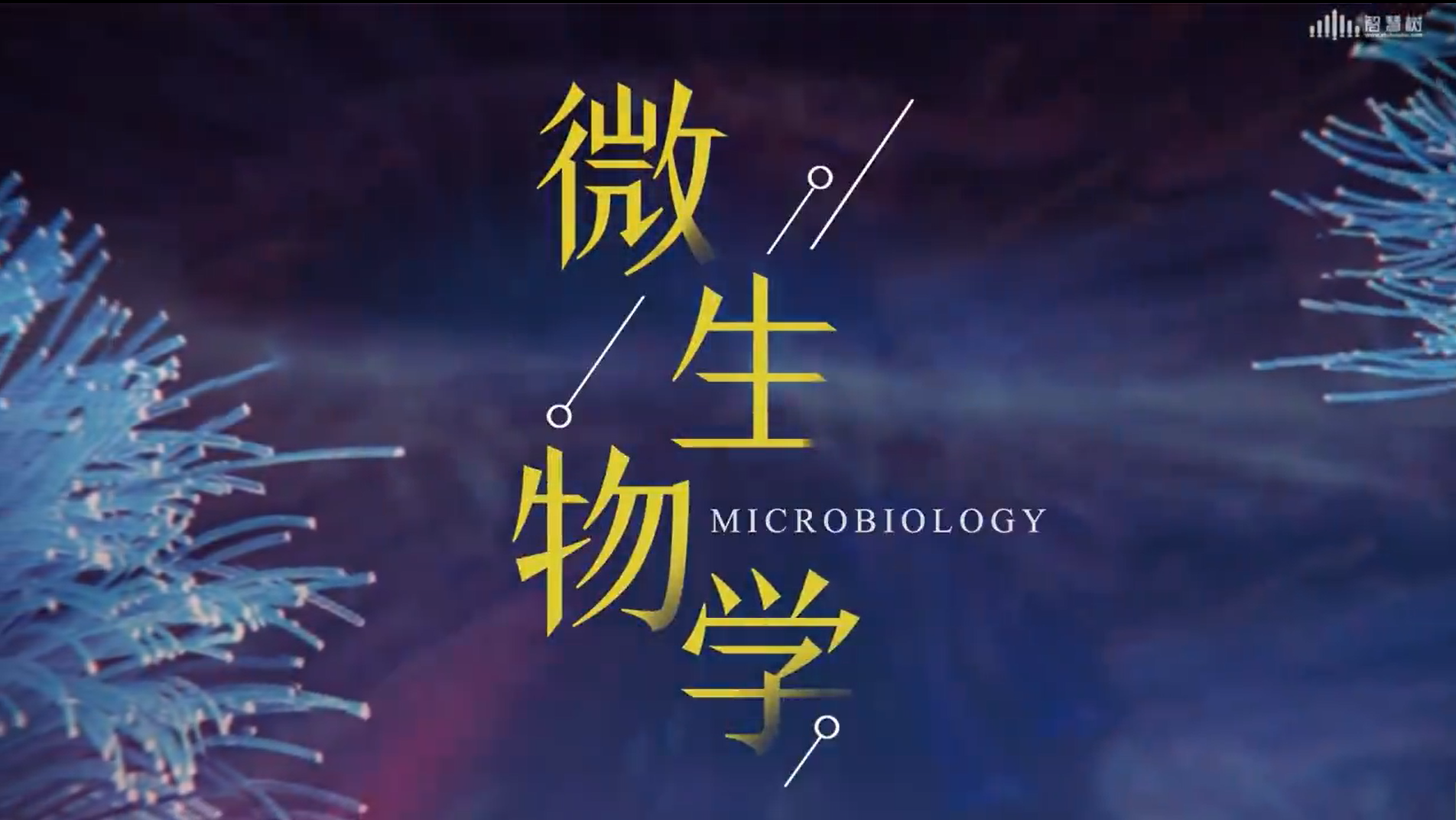 微生物学（鲁东大学）第二章测试_智慧树知到答案2021年