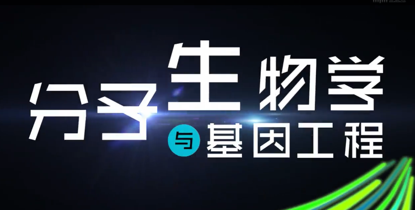 分子生物学与基因工程章节测试课后答案2024春