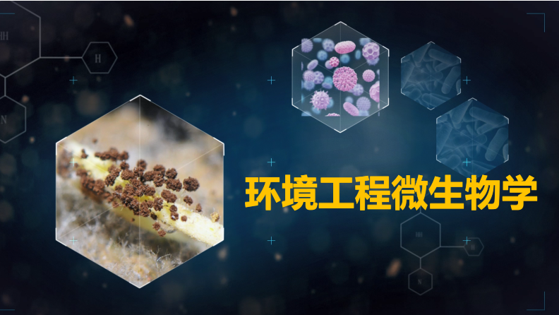 环境工程微生物学（山东联盟）答案2023